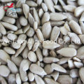 Direct Manufacture Sale Sunflower Seed Kernels Sunflower Kernels